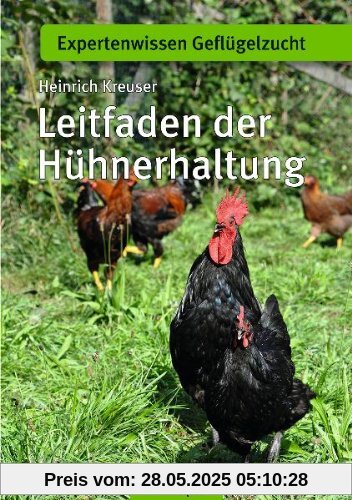 Leitfaden der Hühnerhaltung