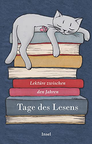 Lektüre zwischen den Jahren: Tage des Lesens (insel taschenbuch)