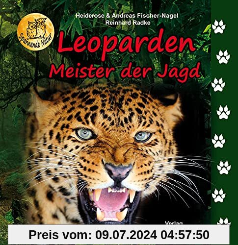 Leoparden: Meister der Jagd