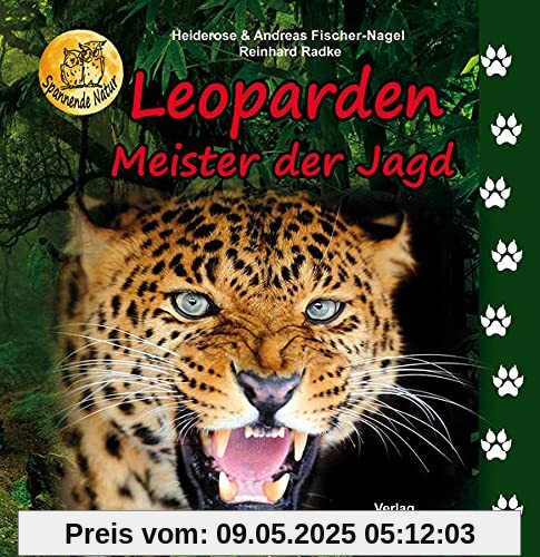 Leoparden: Meister der Jagd Leoparden: Meister der Jagd