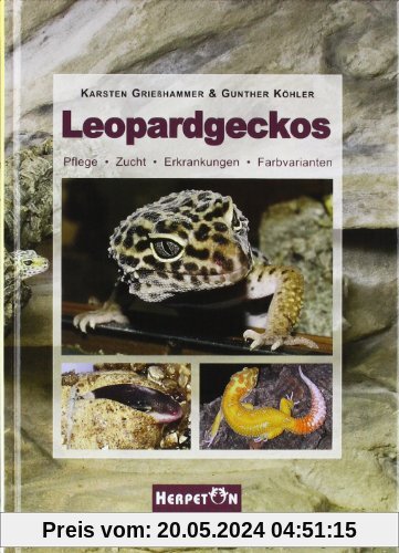 Leopardgeckos: Pflege, Zucht, Erkrankungen, Farbvarianten