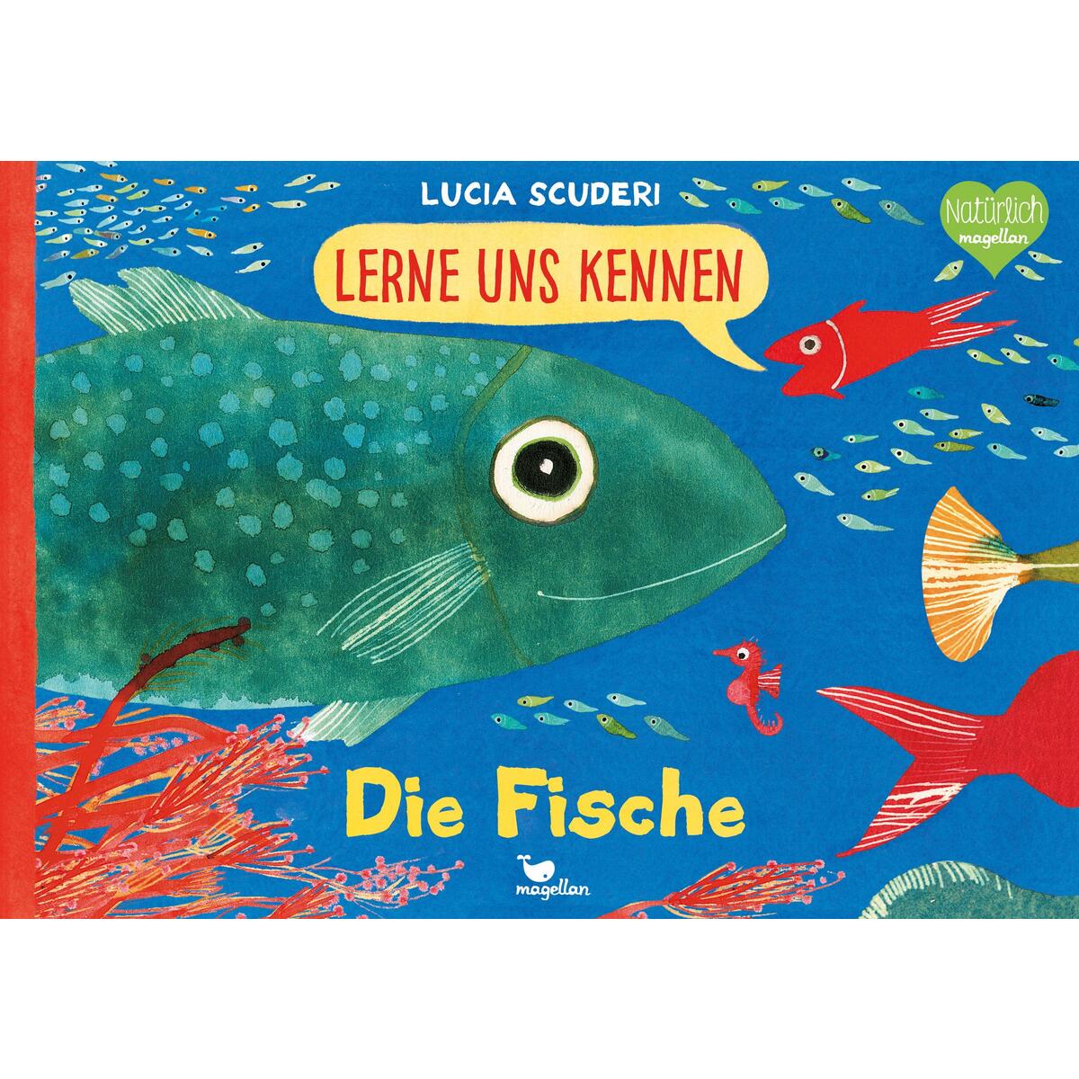 Lerne uns kennen - Die Fische von Magellan GmbH