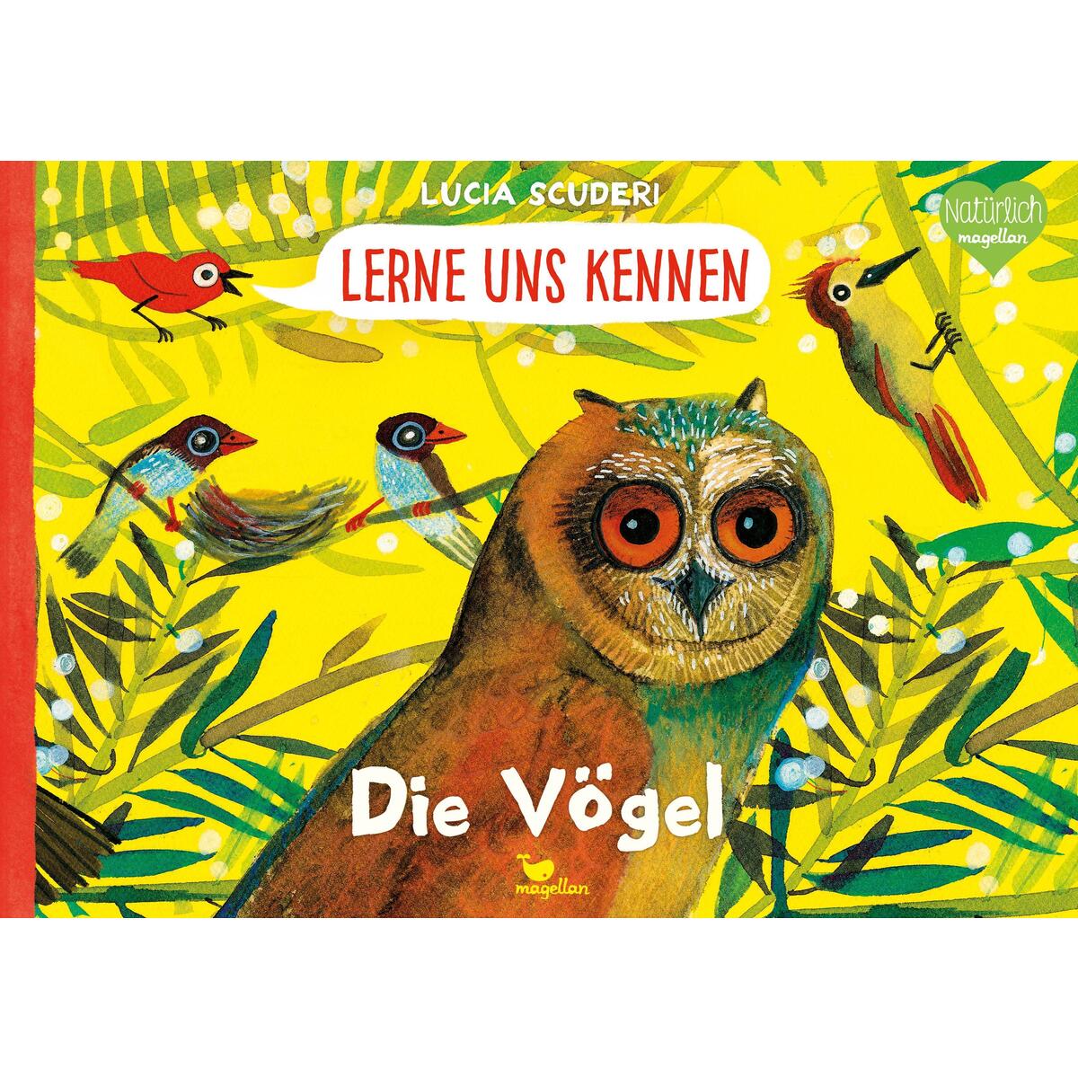 Lerne uns kennen - Die Vögel von Magellan GmbH