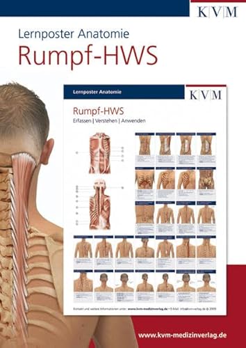 Lernposter Anatomie-Muskulatur: Region Rumpf-HWS (Die Muskelbuch-Reihe) von KVM - Der Medizinverlag