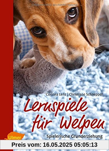 Lernspiele für Welpen: Spielerische Grunderziehung für junge Hunde