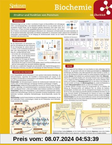 Lerntafel: Biochemie im Überblick (Lerntafeln Biologie)
