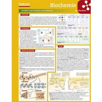 Lerntafel: Biochemie im Überblick