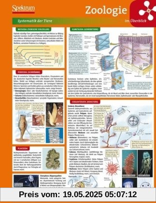 Lerntafel: Zoologie im Überblick (Lerntafeln Biologie)