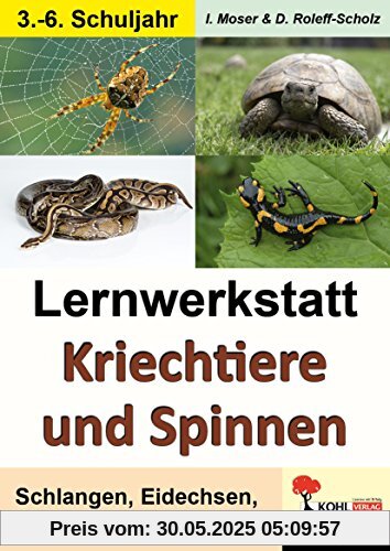 Lernwerkstatt Kriechtiere und Spinnen: Schlangen, Eidechsen, Schildkröten & Spinnen