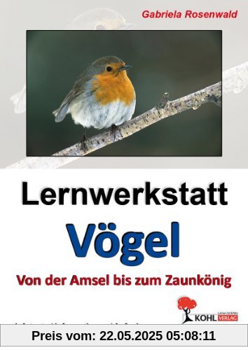 Lernwerkstatt Vögel Von der Amsel bis zum Zaunkönig: Ein Leben aus der Vogelperspektive