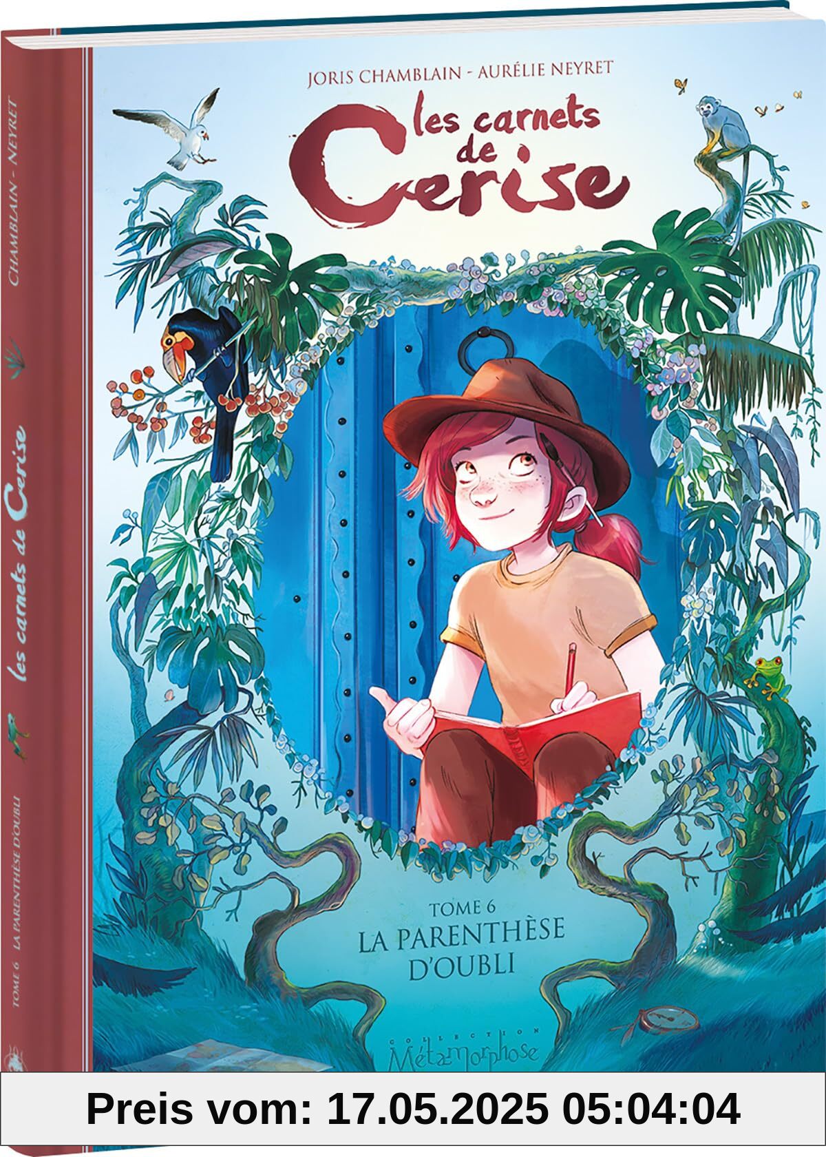 Les Carnets de Cerise - Tome 6: La Parenthèse d'oubli