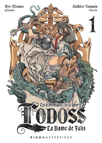 Les Chroniques de la Guerre de Lodoss - La Dame de Falis T01