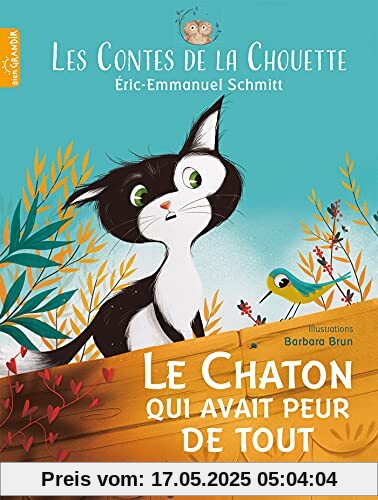 Les Contes de la Chouette - Le Chaton qui avait peur de tout