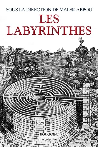 Les Labyrinthes: Vingt mille ans de métamorphoses von BOUQUINS