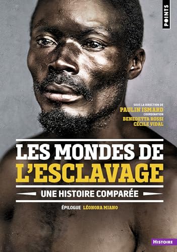 Les Mondes de l'esclavage: Une histoire comparée