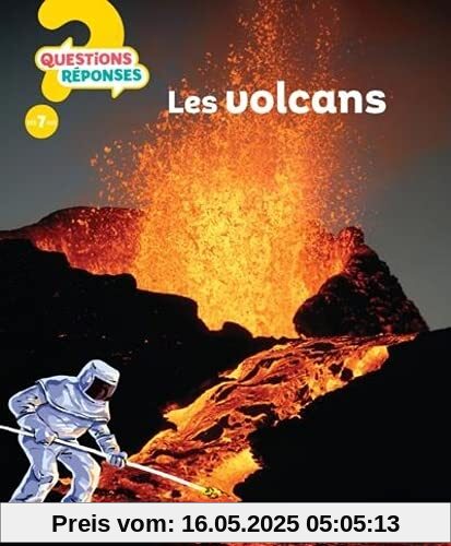 Les Volcans (17)