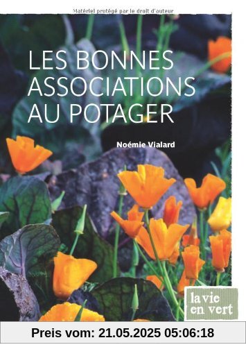 Les bonnes associations au potager