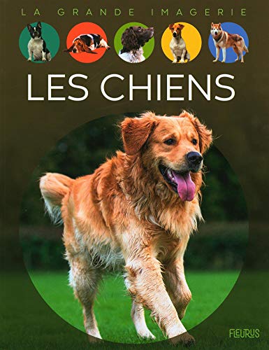 Les chiens von Fleurus