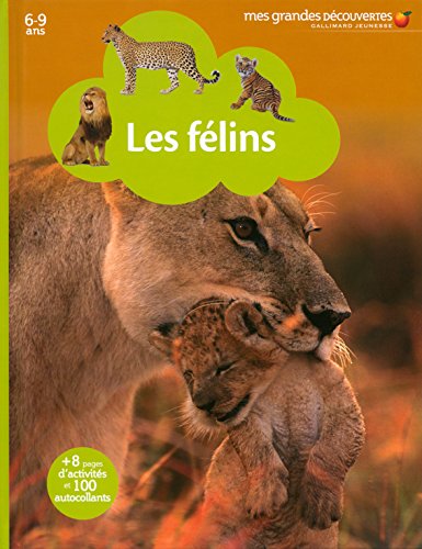 Les félins von Gallimard Jeunesse