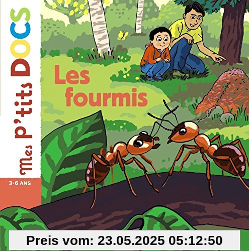 Les fourmis