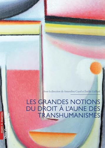 Les grandes notions du droit à l'aune du transhumanisme