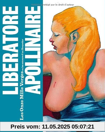 Les onze mille verges : Ou les amours d'un Hospodar