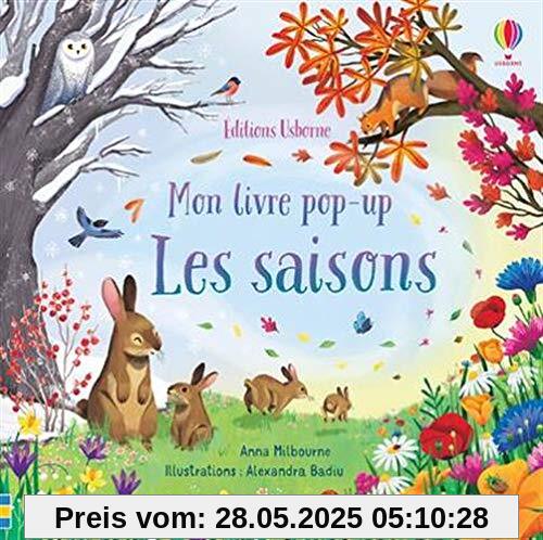 Les saisons - Mon livre pop-up Les saisons - Mon livre pop-up