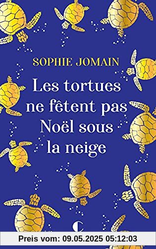 Les tortues ne fêtent pas Noel sous la neige