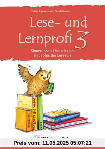 Lese-u.Lernprofi 3: Sinnerfassend lesen lernen mit Sofia, der Lese-Eule, Arbeitsheft