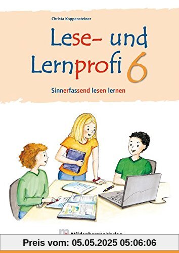 Lese- und Lernprofi 6 - Schülerarbeitsheft - silbierte Ausgabe: Sinnerfassend lesen lernen in Klasse 6