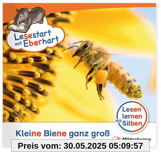 Lesestart mit Eberhart: Kleine Biene ganz groß: Themenhefte für Erstleser, Lesestufe 2 (Lesestart mit Eberhart: Lesen lernen mit Silben - Themenhefte für Erstlesekinder - 5 Lesestufen)