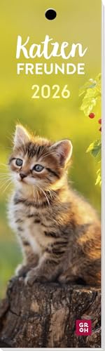 Lesezeichenkalender 2026: Katzenfreunde: Monatskalender. Katzenkalender mit niedlichen Katzenfotos, auch als Lesezeichen oder Geschenkanhänger nutzbar Lesezeichenkalender 2026: Katzenfreunde: Monatskalender. Katzenkalender mit niedlichen Katzenfotos, auch als Lesezeichen oder Geschenkanhänger nutzbar von Groh