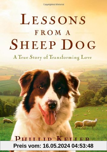 Lessons from a Sheep Dog