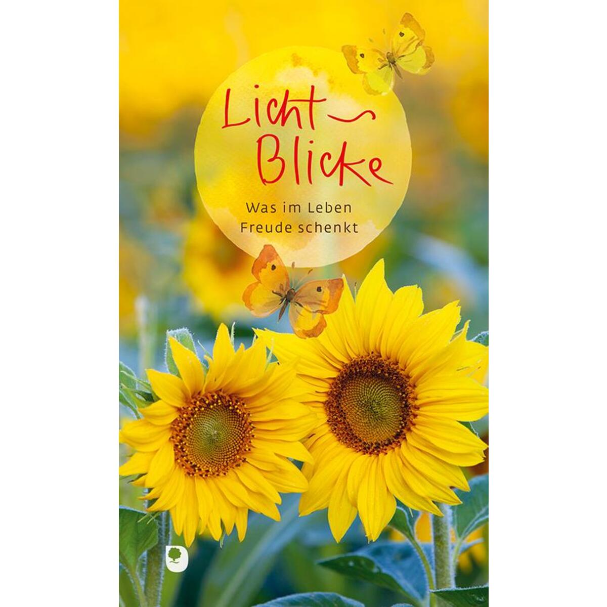 Licht-Blicke Licht-Blicke von Eschbach Verlag Am