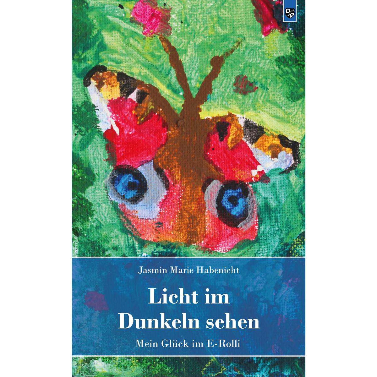 Licht im Dunkeln sehen von Bernardus-Verlag