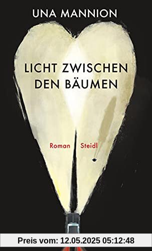 Licht zwischen den Bäumen