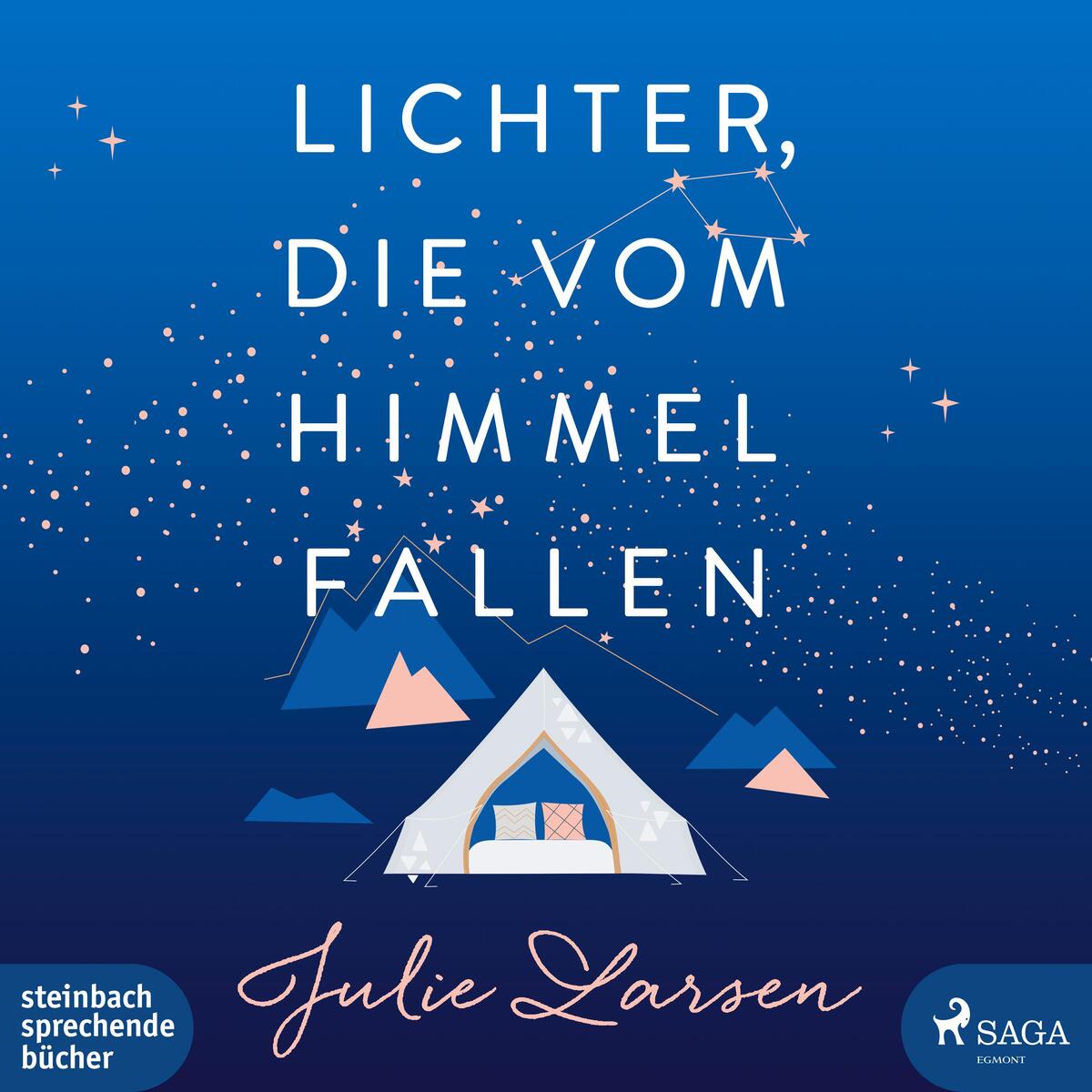 Lichter, die vom Himmel fallen Lichter, die vom Himmel fallen von Steinbach Sprechende