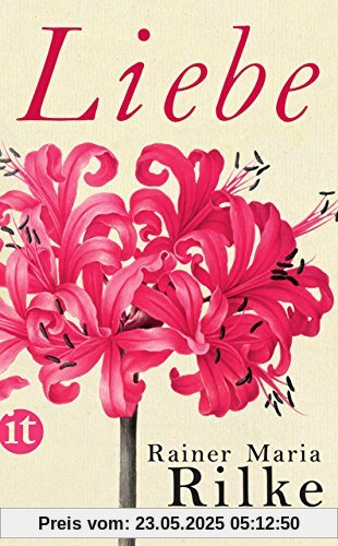 Liebe (insel taschenbuch)