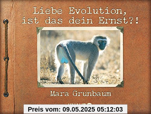 Liebe Evolution, ist das dein Ernst?!