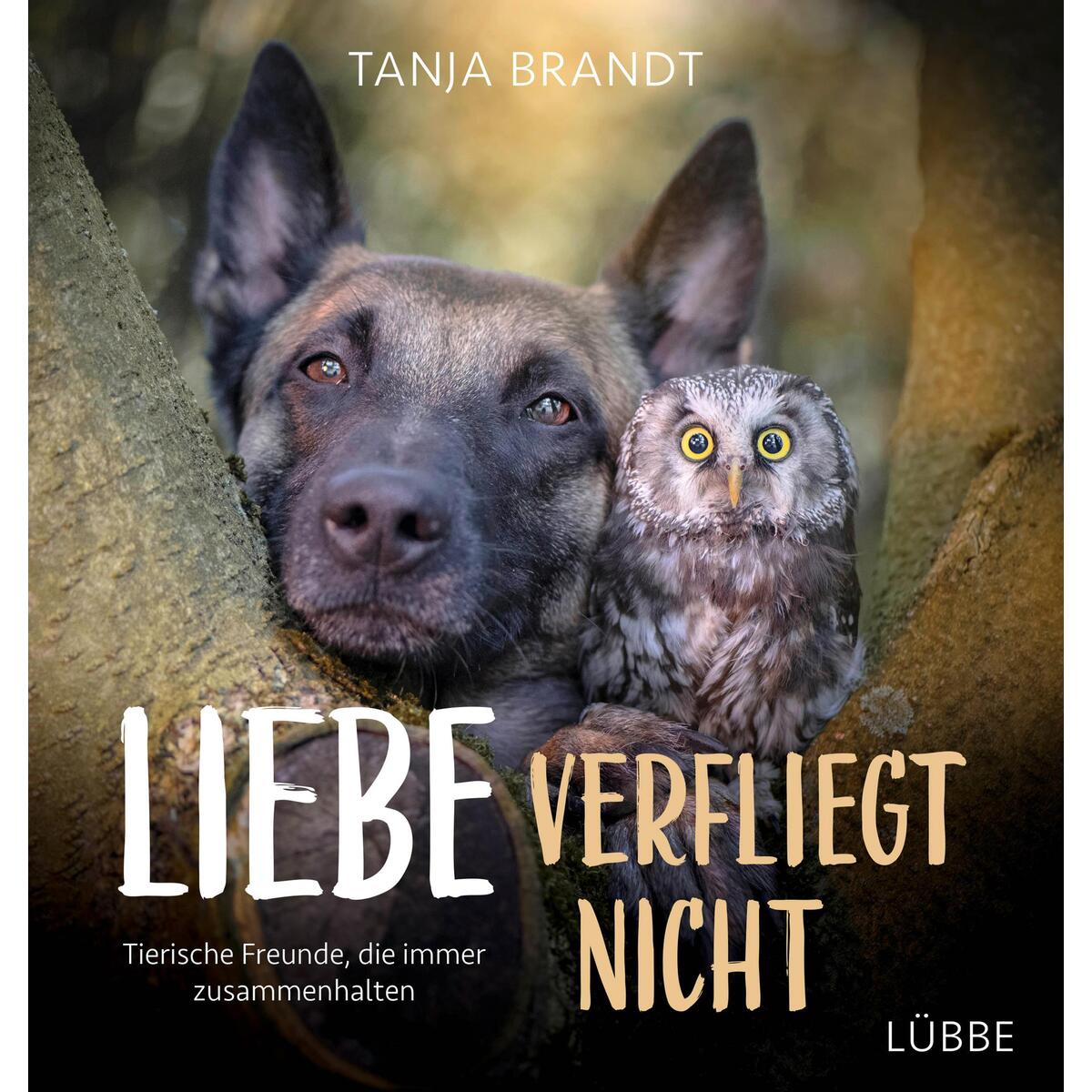 Liebe verfliegt nicht von Bastei Lübbe
