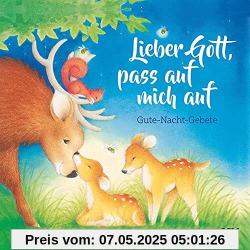 Lieber Gott, pass auf mich auf: Gute-Nacht-Gebete (Bilderbücher für 3- bis 6-Jährige)