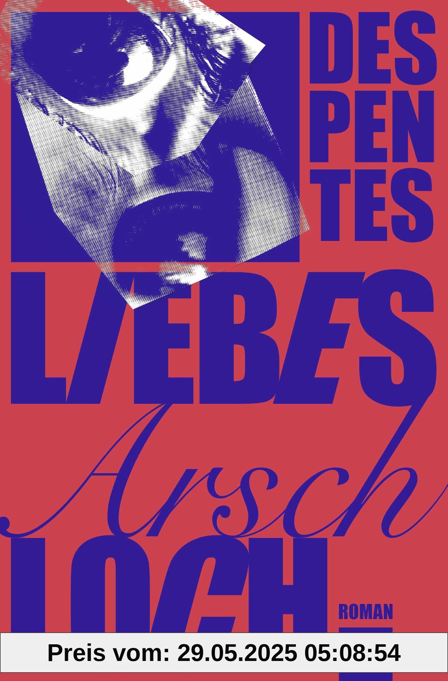 Liebes Arschloch: Roman