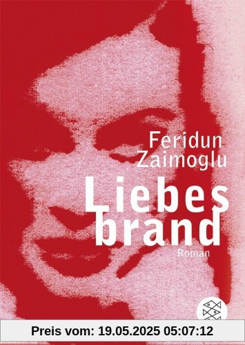Liebesbrand: Roman