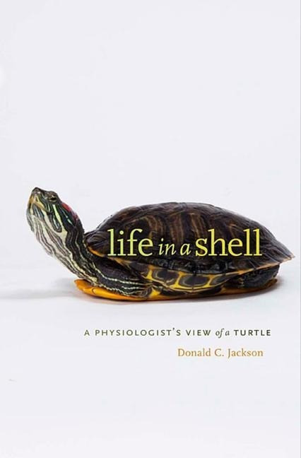 Life in a Shell Life in a Shell