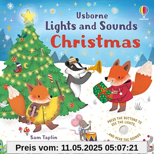 Lights and Sounds Christmas (Sound and Light Books)