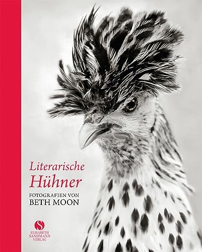 Literarische Hühner: Fotografien von Beth Moon Literarische Hühner: Fotografien von Beth Moon