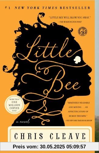 Little Bee: A Novel