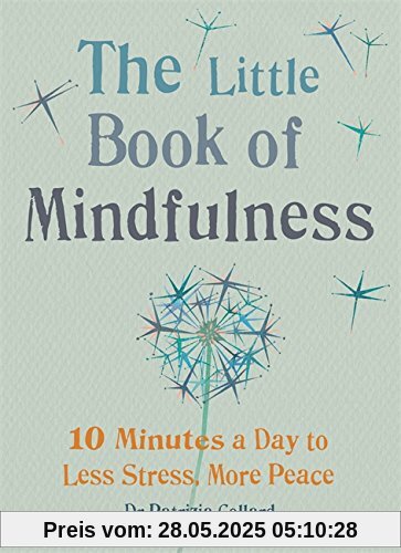 Little Book of Mindfulness