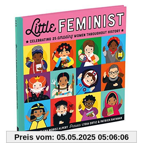 Little Feminist Picture Book