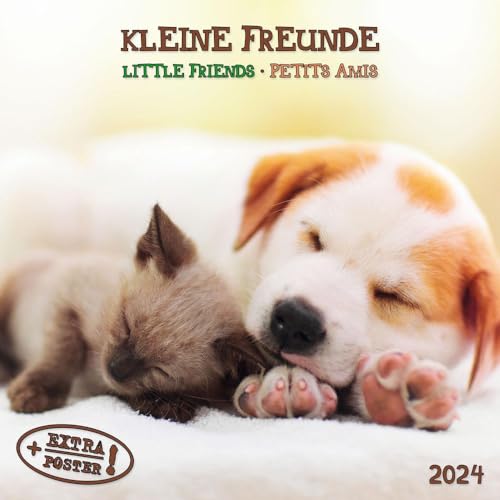 Little Friends/Kleine Freunde 2024: Kalender 2024 (Artwork Edition)